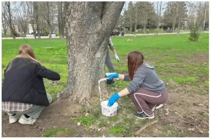 pxBbHjy7k-r-eXs-uTX06D6ax4ICeBUE1FgD7BPnR6otFQHIR0pSdmrBt_TE5GdqyQ3zkGOOD54TBa1ATr3Vf83J