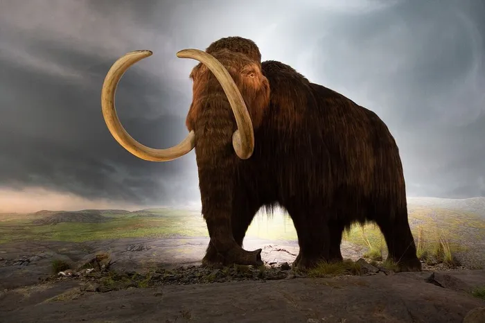 Woolly_mammoth_model_Royal_BC_Museum_in_Victoria