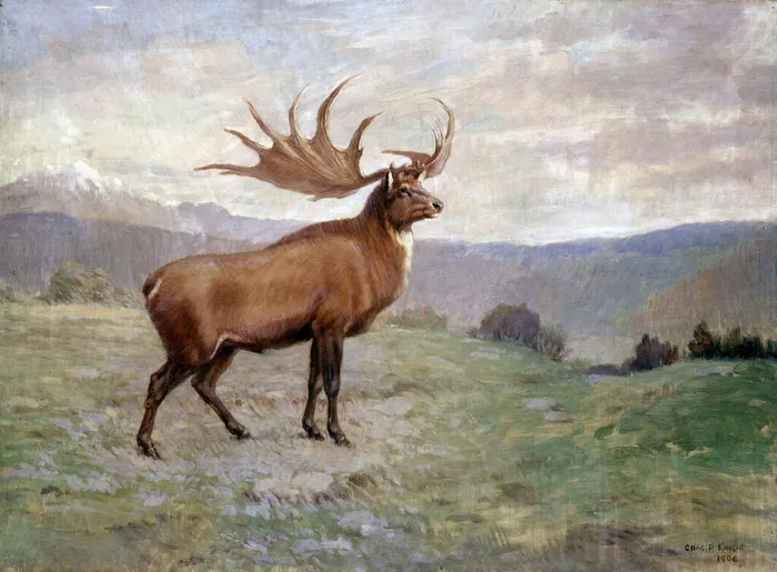 Knight_Megaloceros